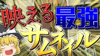 【Aviutl】サムネイルだけじゃない!?汎用性MAX映える文字の作り方徹底解説【ゆっくり実況】