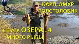 СПУСК ОЗЕРА =КАРП АМУР ТОЛСТОЛОБИК= МНОГО РЫБЫ (4 серия)