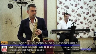 Gica Gogan si Formatia Alina si Costica Dindiri LIVE Nunta Catalin si Adela 31-10-2015