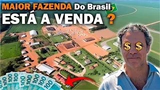 QUANTO VALE A MAIOR FAZENDA DO BRASIL ?