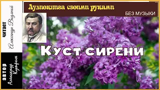 А. Куприн. Куст сирени (без муз) - чит. Александр Водяной