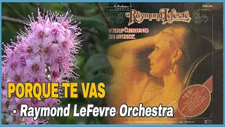 Raymond LeFevre Orchestra - Porque Te Vas (1978)