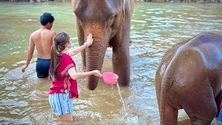ELEPHANT SANCTUARY 2023 - UNFORGETTABLE BATHING RESCUED ELEPHANTS AT KERCHOR ELEPHANT ECO PARK