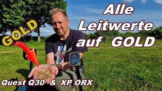 Das habe ich nicht erwartet | Quest Q30 + XP ORX | Sondeln | Tipps & Tricks