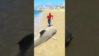 GTA V : SPIDER-MAN SAVING DOLPHIN 🥺| #shorts