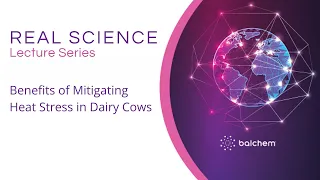 Benefits of Mitigating Heat Stress in Dairy Cows - Dr. Lance Baumgard, Iowa State University