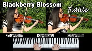 [Fiddle Music] Blackberry Blossom