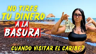 NO VENGAS AL CARIBE sin antes SABER "ESTO" | TULUM y MAHAHUAL con SARGAZO!