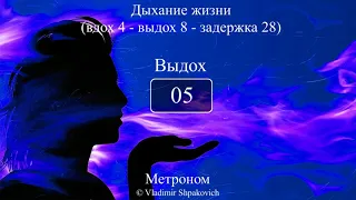 Дыхание жизни (вдох 4 - выдох 8 - задержка 28)