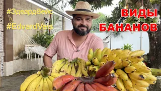 Виды бананов | Банановые легенды #2 | Колхозник Эдвард