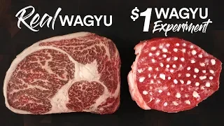 The $1 WAGYU STEAK Experiment | Guga Foods