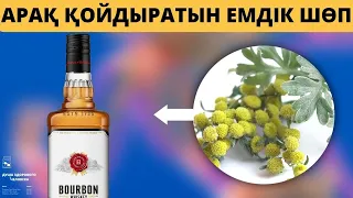 АРАҚ қойдыратын | Жатыр тарылтатын ЕМДІК ҚАСИЕТІ бар ШӨПТЕР #араққойдыратыншөп