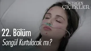 Songül kurtulacak mı? - Kırgın Çiçekler 22. Bölüm