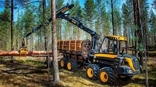 Modern Big Wood Harvesting Machines !
