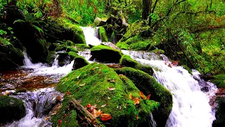 Mountain River || nature sounds water  🌿 Find Yourself || 4k uhd nature video || Relaxation video