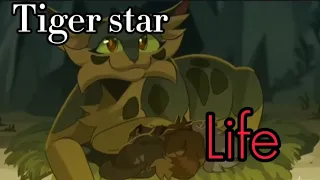 TigerStar animation tribule  "next up forever"