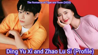 Ding Yu Xi and Zhao Lu Si | The Romance of Tiger and Rose | Profile，Age，Birthplace，Height，...