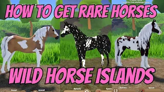 HOW TO GET RARE HORSES ON WILD HORSE ISLANDS / ROBLOX