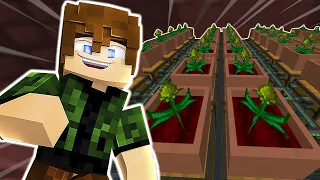 FARM GIGANTE DO MYSTICAL AGRICULTURE!!!! - NonoFactory 2 #20 (Minecraft 1.16 + Mods)