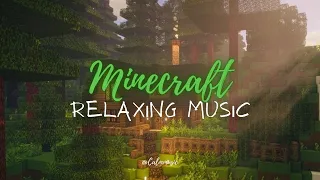 Minecraft Relaxing Music  |  1 Hour beautiful memories from childhood