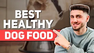 Best Healthy Dog Food in 2024