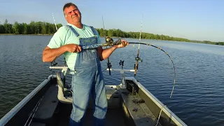 INSANE! Shallow Water Blue CATFISH!