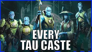 Every Single Tau Caste EXPLAINED By An Australian | Warhammer 40k Lore