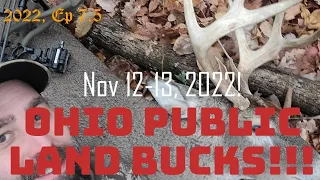 2022 Ohio buck kill! 3 big buck encounters in 2 days. Public land!