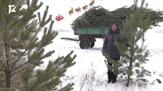 Омск: Час новостей от 27 ноября 2020 года (11:00). Новости