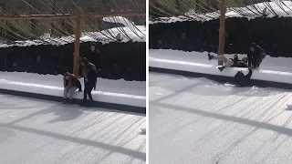 Girls attempt to skate on "frozen" pool, end up falling through ice