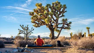 3 Days Alone In JOSHUA TREE National Park