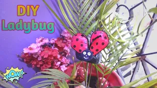 DIY : Lady bug with four wings || How to make ladybug to decorate our indoor & outdoor garden