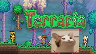 Terraria OST got me like