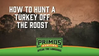 How to Hunt a Turkey off the Roost