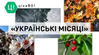 ЦікаВО! Назви місяців українською та їх походження