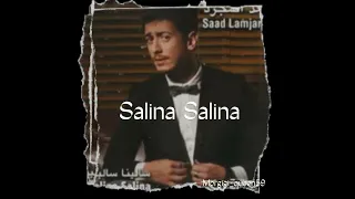 Slowed & Reverb Saad Lamjarred - Salina Salina