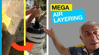 MEGA AIR LAYERING