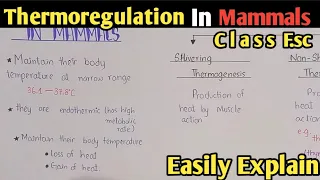 Thermoregulation In Mammals Fully Explained In Urdu Hindi | Class 12 Biology