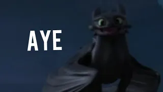 Dude no, you gotta like aye||Toothless||HTTYD||