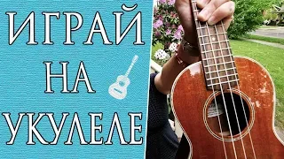 Лучшие Песни На Укулеле Для Начинающих (Часть 5)