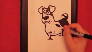 How to Draw Max from Secret Life of Pets