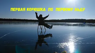 Первая корюшка по первому льду.