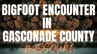 BIGFOOT ENCOUNTER IN GASCONADE COUNTY, MISSOURI |  ITS EYES GLOWED YELLOW | NEAR BOURBEUSE RIVER!