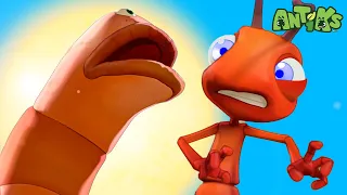 Sand Worm Attack! 🪱 | ANTIKS 🐜 | Old MacDonald's Farm | Animal Cartoons for Kids