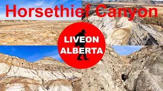 WHAT PLANET AM I ON, Hiking Horsethief Canyon, in the Canadian Badlands #hiking