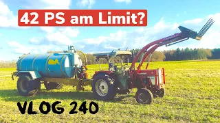 Farmvlog #240 | Güllefahren mit IHC 423