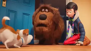 I Voiceover The Secret Life Of Pets