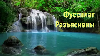 41. Сура Фуссилат / Разъяснены (на русском языке)