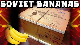 Soviet Storytime. Going Bananas After Bananas In The USSR. My Soviet childhood