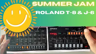 Roland Aira Compact T-8 & J-6 - SUMMER JAM